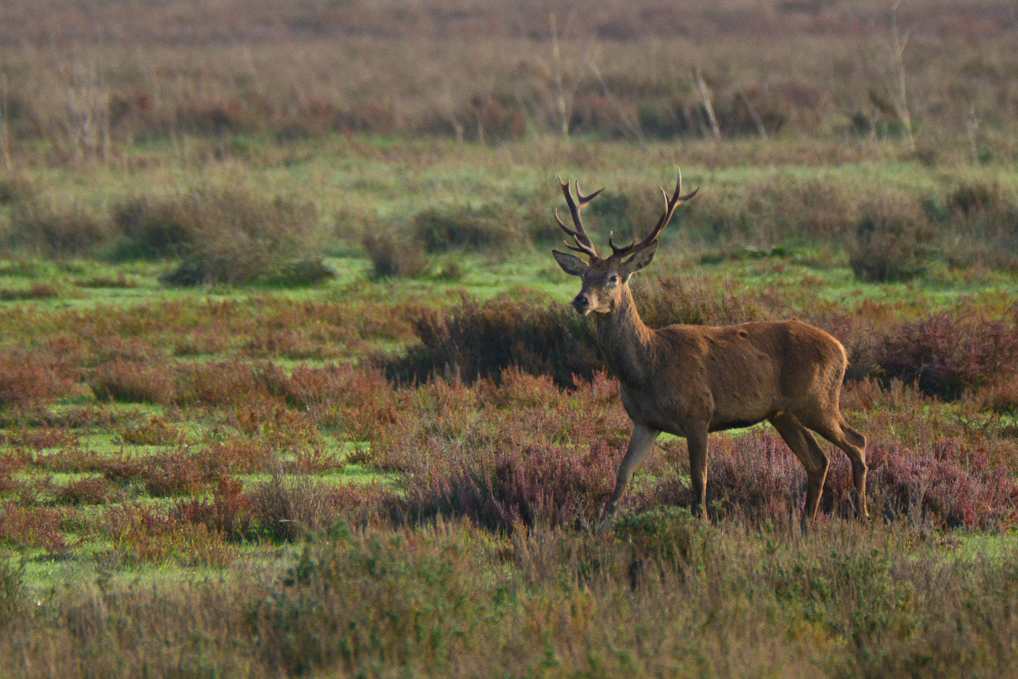 Spanien - Andalusien / Spain - Andalusia
